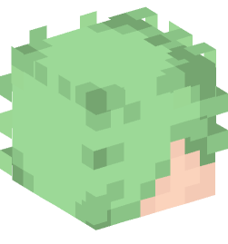 Minecraft head — People