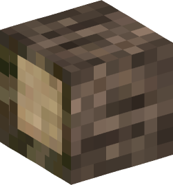 Minecraft head — Blocks