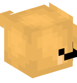 Minecraft head — People