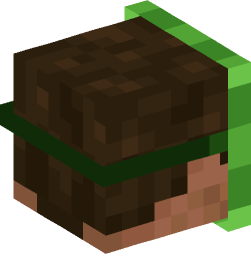 Minecraft head — People