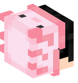 Minecraft head — People