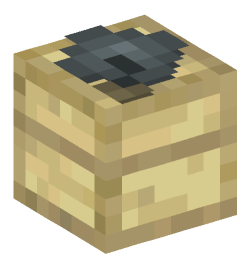 Minecraft head — Decor