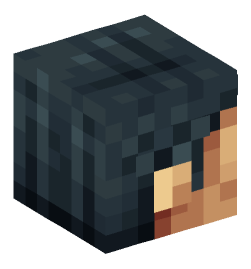 Minecraft head — People