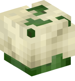 Minecraft head — Decor