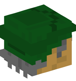 Minecraft head — People