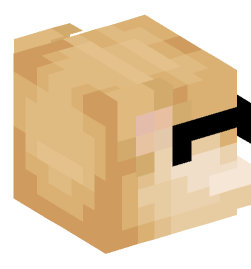 Minecraft head — Animals