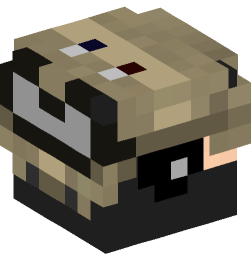 Minecraft head — People