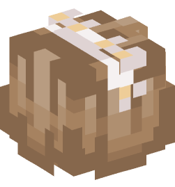 Minecraft head — People