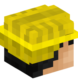 Minecraft head — People