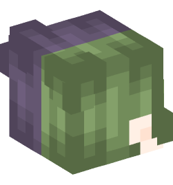 Minecraft head — People