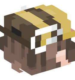 Minecraft head — People