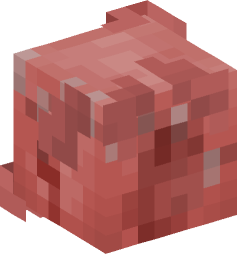 Minecraft head — Decor
