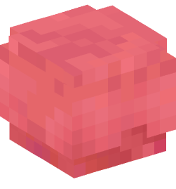 Minecraft head — Creatures