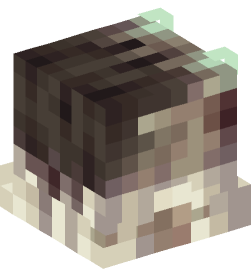 Minecraft head — Decor