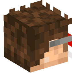 Minecraft head — People