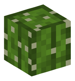 Minecraft head — Plants