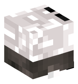 Minecraft head — Decor