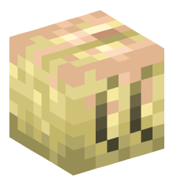 Minecraft head — Creatures