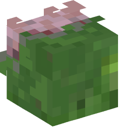 Minecraft head — Creatures