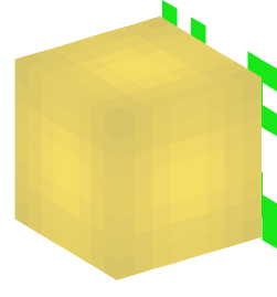 Minecraft head — Miscellaneous