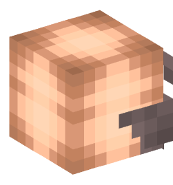 Minecraft head — People