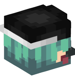 Minecraft head — People