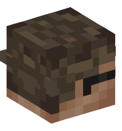 Minecraft head — Creatures