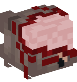 Minecraft head — People