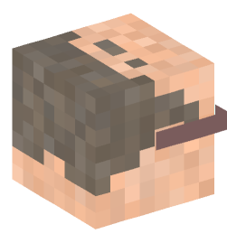 Minecraft head — People