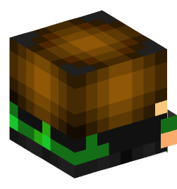 Minecraft head — Decor