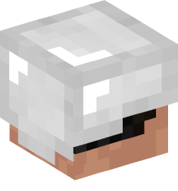 Minecraft head — People