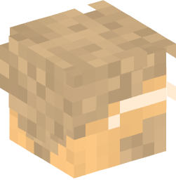 Minecraft head — People