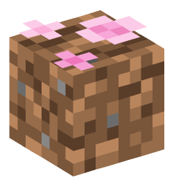 Minecraft head — Plants