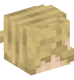 Minecraft head — People