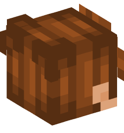 Minecraft head — People