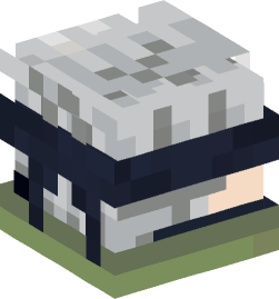 Minecraft head — People