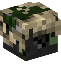 Minecraft head — Creatures