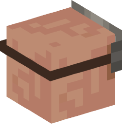 Minecraft head — Creatures