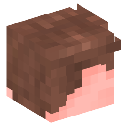 Minecraft head — People