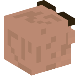 Minecraft head — People