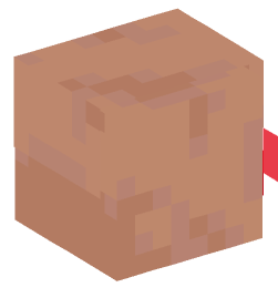 Minecraft head — Creatures