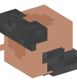 Minecraft head — People