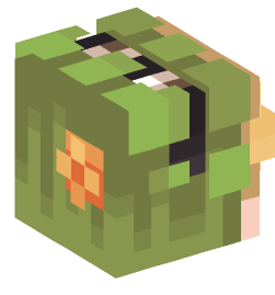 Minecraft head — People