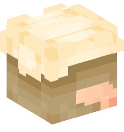 Minecraft head — People