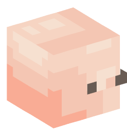 Minecraft head — People