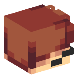 Minecraft head — People