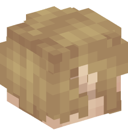 Minecraft head — People