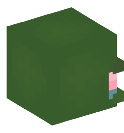 Minecraft head — Creatures