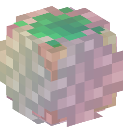 Minecraft head — Plants