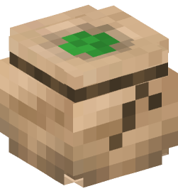 Minecraft head — Decor